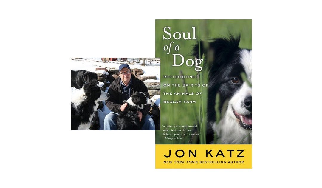 Jon Katz – Soul of a Dog